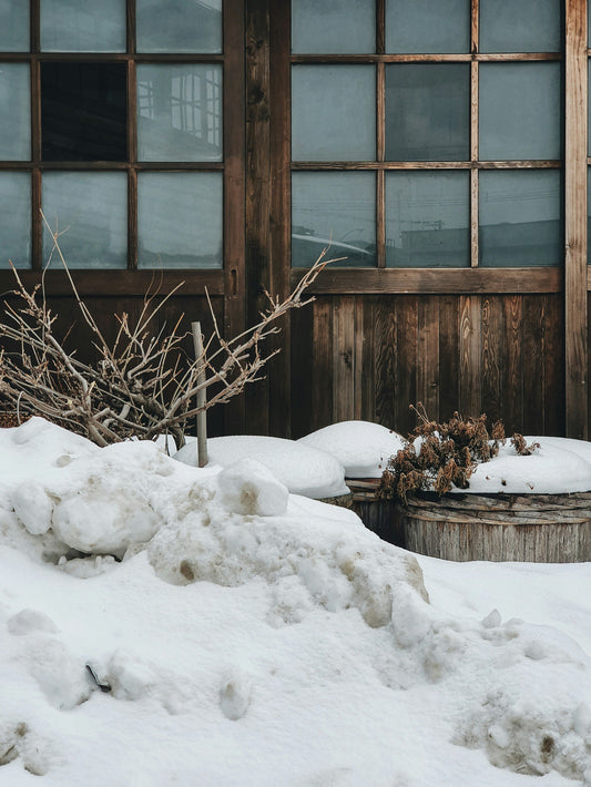 Embracing the Year of the Wood Snake: Japan’s understated approach to the Lunar New Year